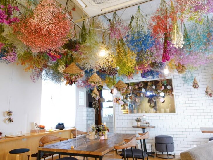 サンカクストア 福島 癒しの空間についウットリ ドライフラワーに囲まれた素敵すぎるカフェ
